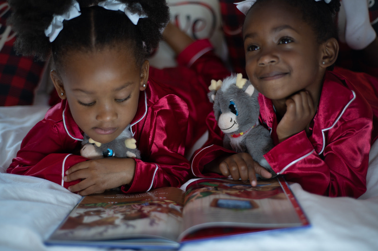 Reindeer In Here - Gift Set: Picture Book & 2 Plush Toys